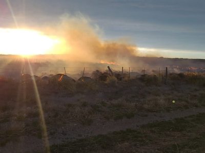 Lograron controlar el incendio en Zapala, que se originó por la caída de una línea de tensión