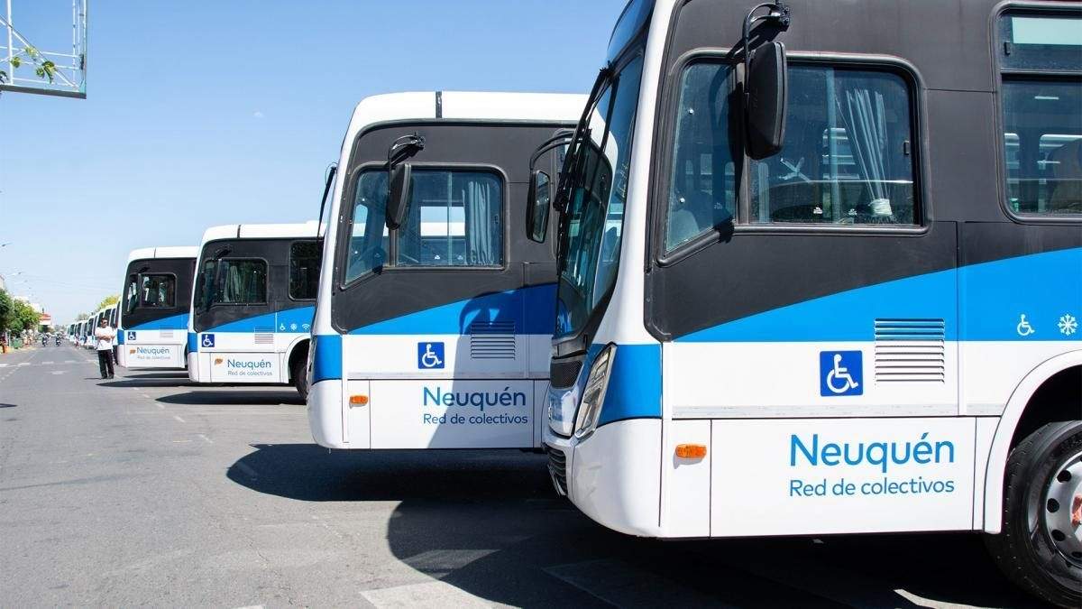 Colectivos de Neuquén. Fuente: (AM550)