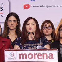 Diputada de Morena pide al INE incluir a Barbosa como agresor de mujeres