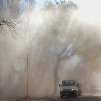 Temporal de viento: hubo cortes de luz, árboles caídos y destrozos en Neuquén Capital