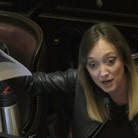Patricia Bullrich mandó a callar a Fernández Sagasti durante el debate