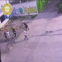 Asaltantes matan a un perro que defendió a su dueño del atraco en el Eje Central (Video)