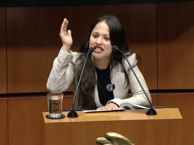 Quién es Beatriz Andrea Navarro, diputada de Morena que causó polémica por usar lenguaje soez