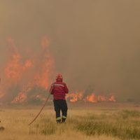 Tras 18 días, el incendio en los Alerces continúa activo