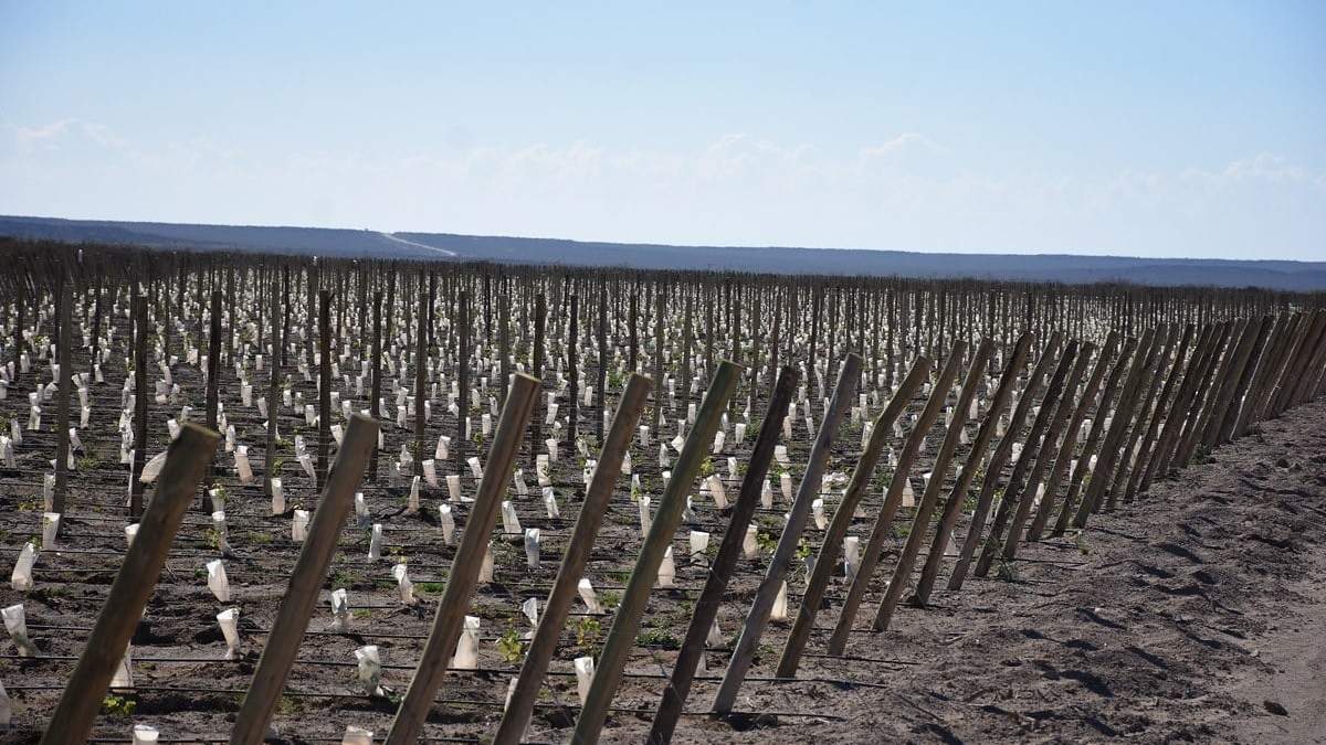 Proyectan bodega en Casa de Piedra. Fuente: (Instagram)