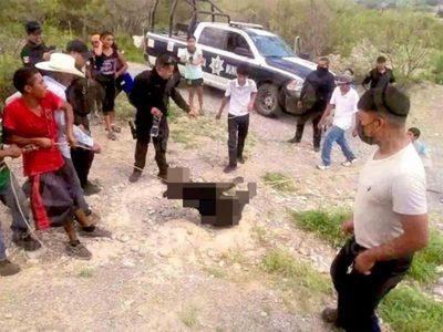 Suspenden a 5 policías que presenciaron tortura y muerte de oso negro en Coahuila
