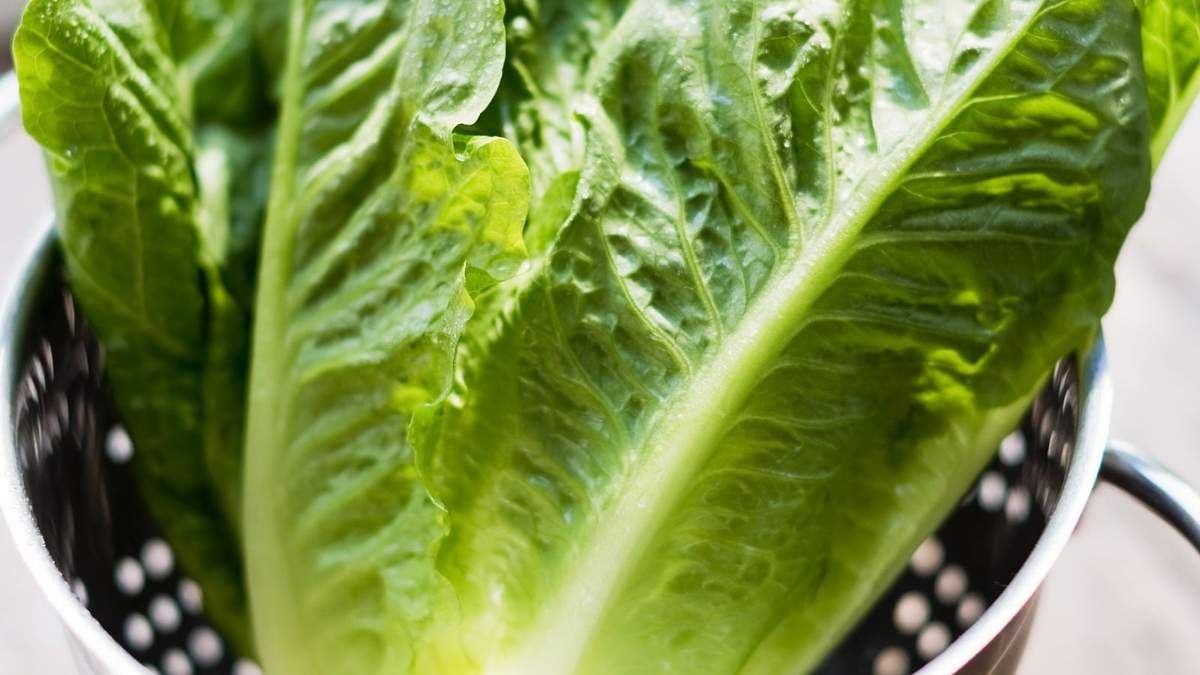 Lechuga rellena. Fuente: (Instagram)