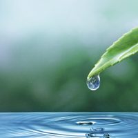 Cuáles son los signos de Agua y como es su personalidad