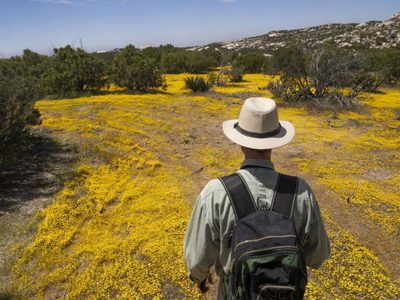 Botánicos de México y EU documentan un ecosistema dividido por el muro fronterizo