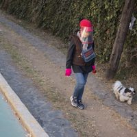 Un perro contagió de covid-19 a una familia en la Ciudad de México