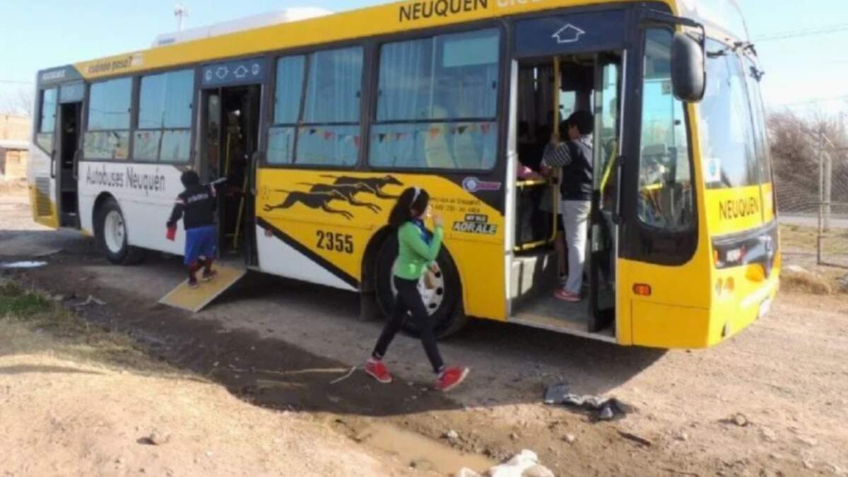 Transporte en la ciudad de Plottier. Fuente: (Evolución).