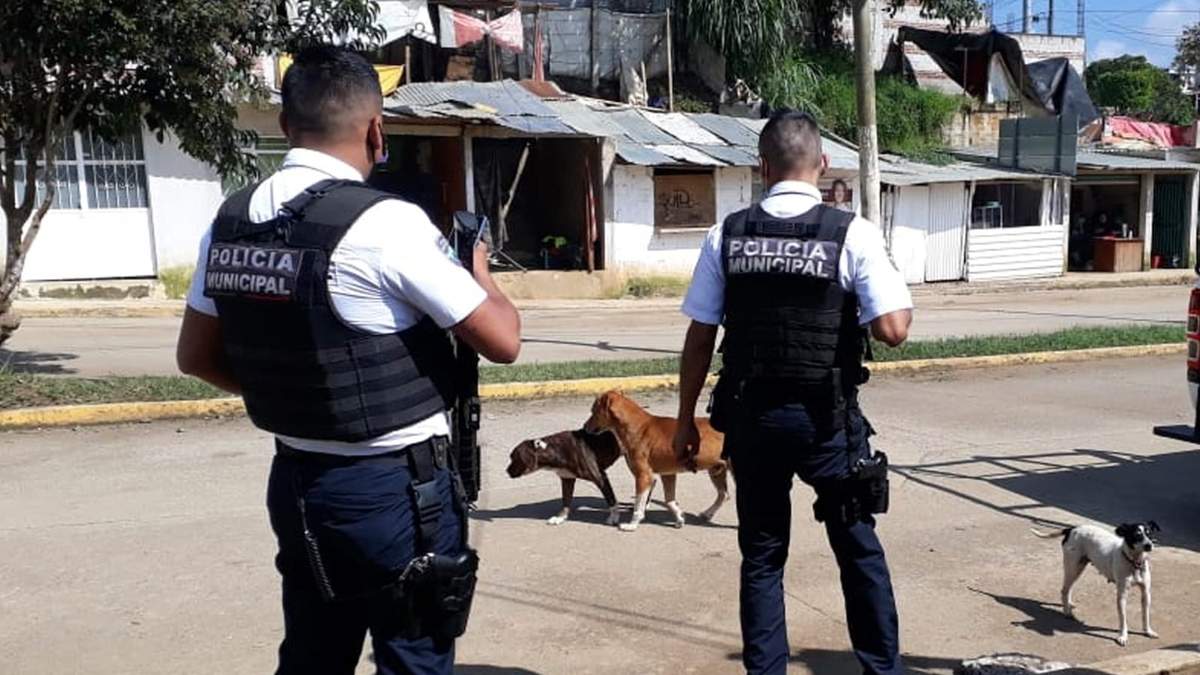 Policías de Xalapa, Veracruz