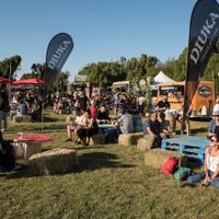 Solidaridad y arte en encuentro cervecero