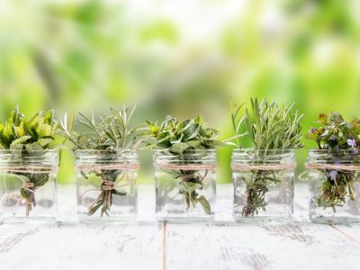 Con 1 botella de vidrio y ramitas secas: creá este maravilloso florero para tus plantas de agua