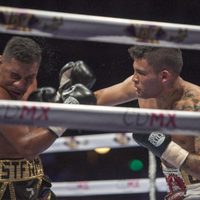 Boxeo a puertas cerradas