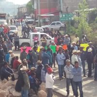Guerrero, primer productor de amapola durante 24 años de entrega de subsidio... para la siembra de maíz