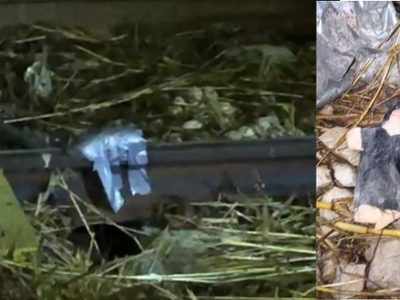 Lo reportaron como "bomba" en las vías del tren y resultó ser un muñeco vudú