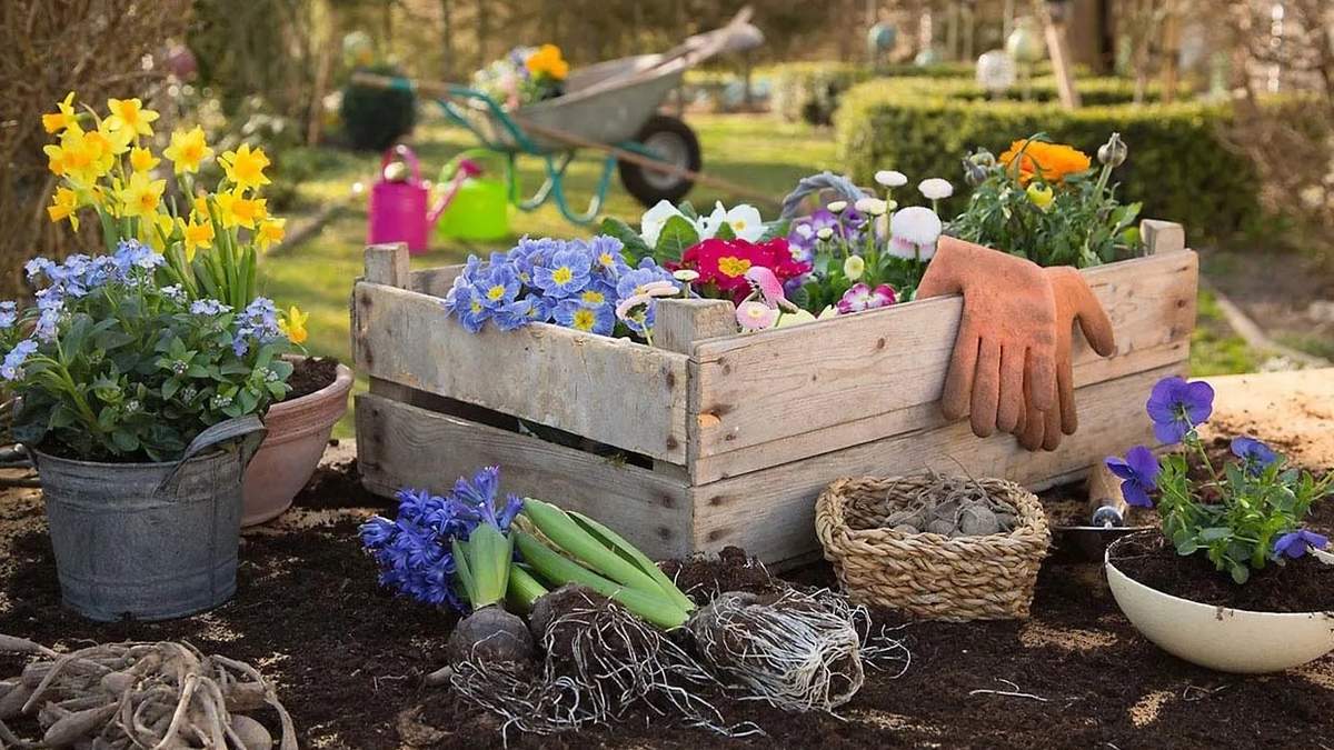 Jardinería. Fuente: (Instagram)