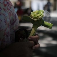 CEM invita a la reflexión en días santos para hallar 'el sentido de la vida”