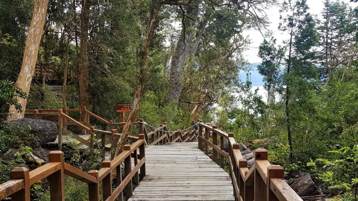 Parque Nacional Arrayanes. Fuente: (Twitter)