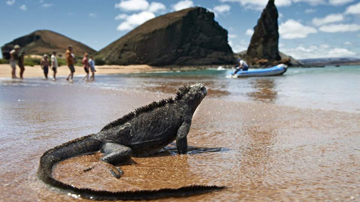 Las islas Galápagos, símbolo de Ecuador. Fuente: (Twitter)