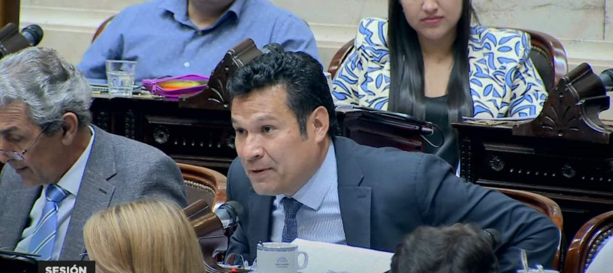 Osvaldo Llancafilo, diputado por Neuquén durante la votación particular. Fuente: (Diputados Tv)