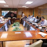 Colectivo pide incorporar en la Constitución de Nayarit el principio de 'Paridad en Todo”