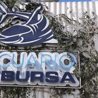 Bióloga marina muere ahogada en el Acuario Inbursa