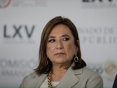 Youtubers increpan a Xóchitl Gálvez en el Senado (Video)