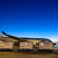 Argentina roza los 70 millones de vacunas y aprueba una estrategia para inmunizados en el exterior