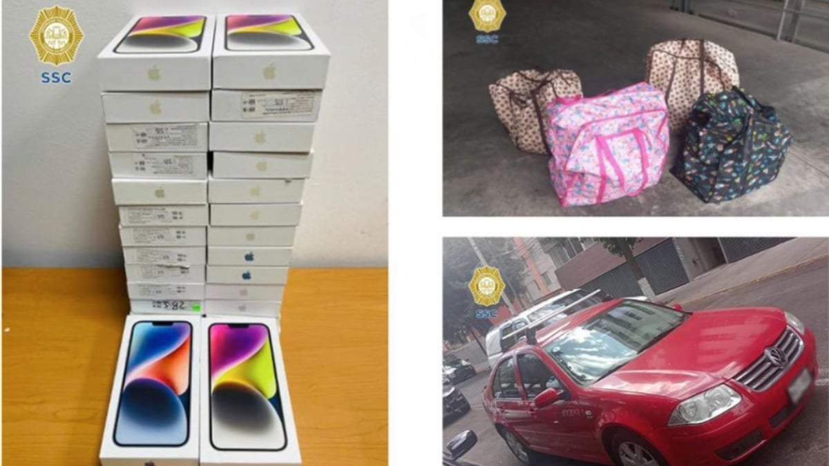 Lo decomisado de Apple