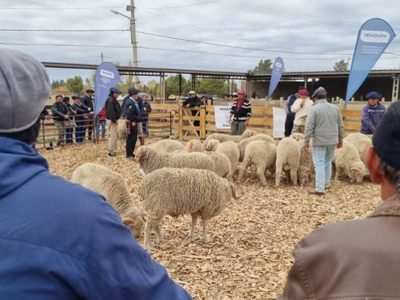 Se realizó la 13° Feria Integral de la Producción en Zapala
