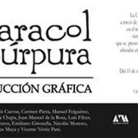 Muestra por los 15 años de Caracol Púrpura