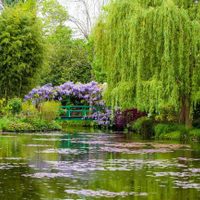 Visitar los jardines de Monet desde nuestra PC
