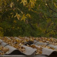 Clima en Neuquén: se viene un miércoles de otoño con lluvias en la cordillera