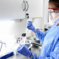 Domingo en Zapala: reportan 23 nuevos casos positivos de coronavirus