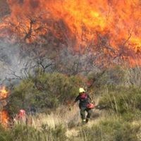 El Gobierno de Neuquén impulsa un proyecto integral para mejorar la gestión y manejo del fuego en la provincia