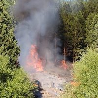 Denunciaron y detuvieron a un hombre como el responsable del incendio forestal en Chiquilihuin