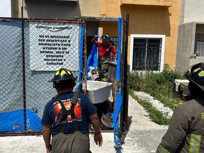Cancún: encuentran perros muertos en inmueble que se ostentaba como refugio