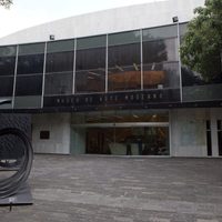 Proyecto Chapultepec: incapacidad profesional