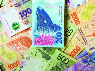 El Frente de Todos presentará un proyecto para establecer un salario básico universal