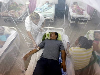 La curva del dengue sigue subiendo en Jujuy y Tucumán
