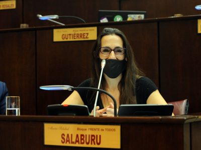 Ley Micaela: diputada Salaburu solicita se garantice la capacitación virtual