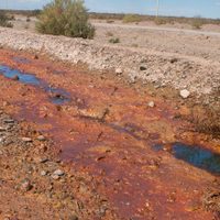 Denunciaron un derrame de petróleo en Vaca Muerta