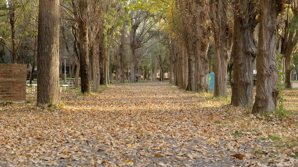 Volverá a salir el sol en la ciudad de Neuquén. Fuente: (Emiliano Ortiz)