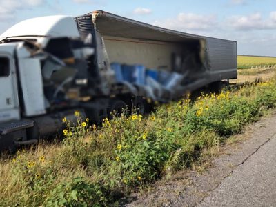 Descubren toneladas de perros y gatos muertos en tráiler accidentado en Tamaulipas