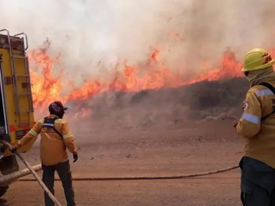 Brigadistas temen que las tormentas eclécticas ocasionen incendios