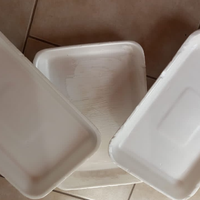 Con 1 bandeja de telgopor y 1 vaso descartable: creá esta maceta con efecto madera, que no parece reciclada