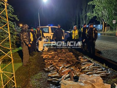 Pesca ilegal: secuestraron 170 truchas en un control en la Ruta 40