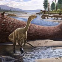 El cambio climático fue clave en el ascenso de los dinosaurios